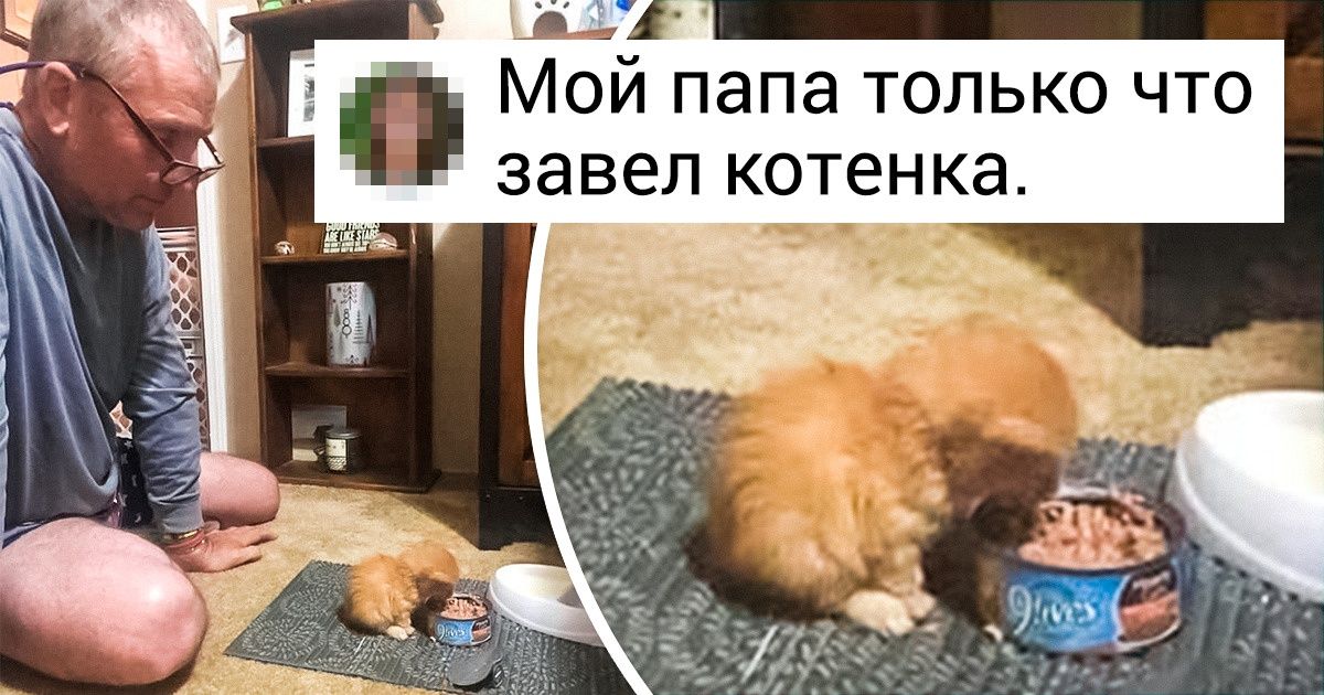 20+ доказательств того, что с животными мужская суровость тает как кубик льда в горячем чае 20+ доказательств того, что с животными мужская суровость тает как кубик льда в горячем чае