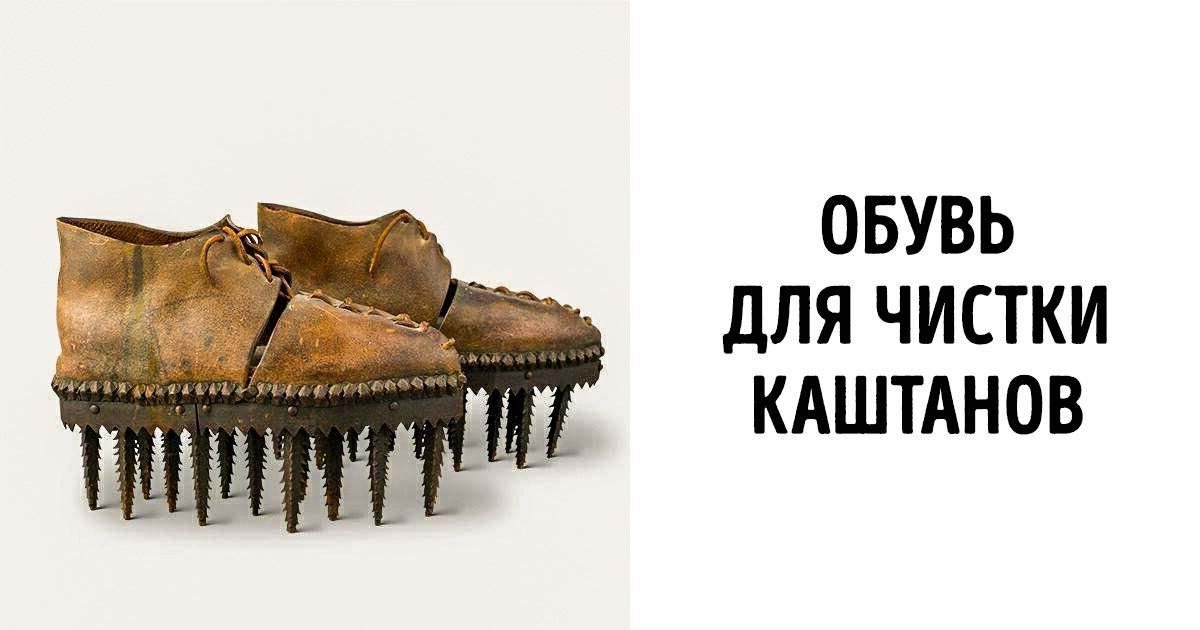 20+ редких фотографий, которые точно пополнят ваш багаж знаний (Чего только стоит скелет ежа) 20+ редких фотографий, которые точно пополнят ваш багаж знаний (Чего только стоит скелет ежа)