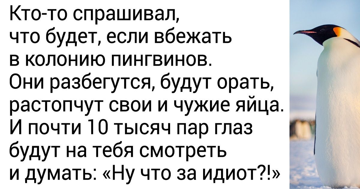 25 твитов от полярника, который без прикрас описывает сложность и великолепие жизни в Антарктиде 25 твитов от полярника, который без прикрас описывает сложность и великолепие жизни в Антарктиде