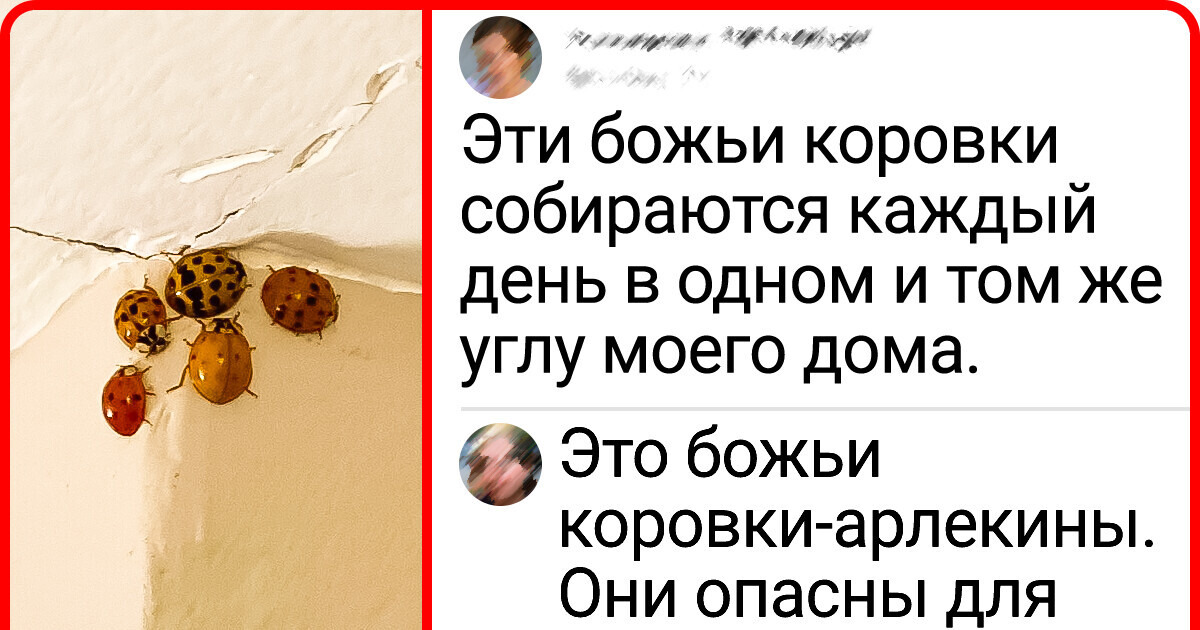 20+ фотографий, авторы которых остались в полном недоумении от увиденного 20+ фотографий, авторы которых остались в полном недоумении от увиденного