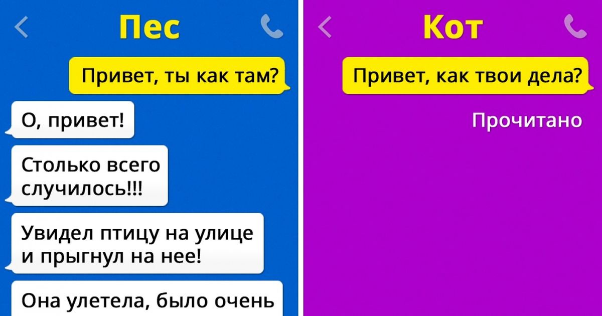 Если бы коты умели писать СМС