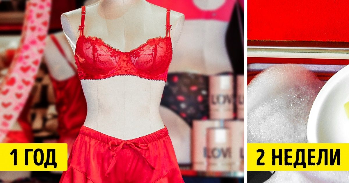 13 вещей, у которых есть срок годности, хотя на упаковках об этом не пишут 13 вещей, у которых есть срок годности, хотя на упаковках об этом не пишут