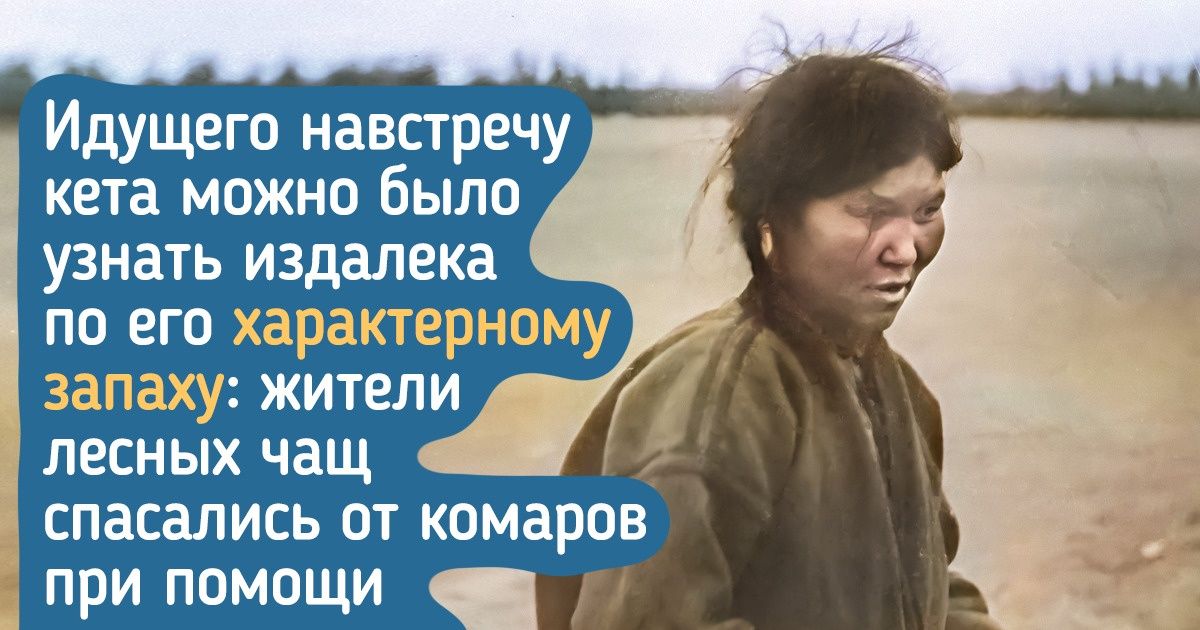 17 любопытных фактов о жизни кетов — сибирском народе, которому куклы помогают делать уборку 17 любопытных фактов о жизни кетов — сибирском народе, которому куклы помогают делать уборку