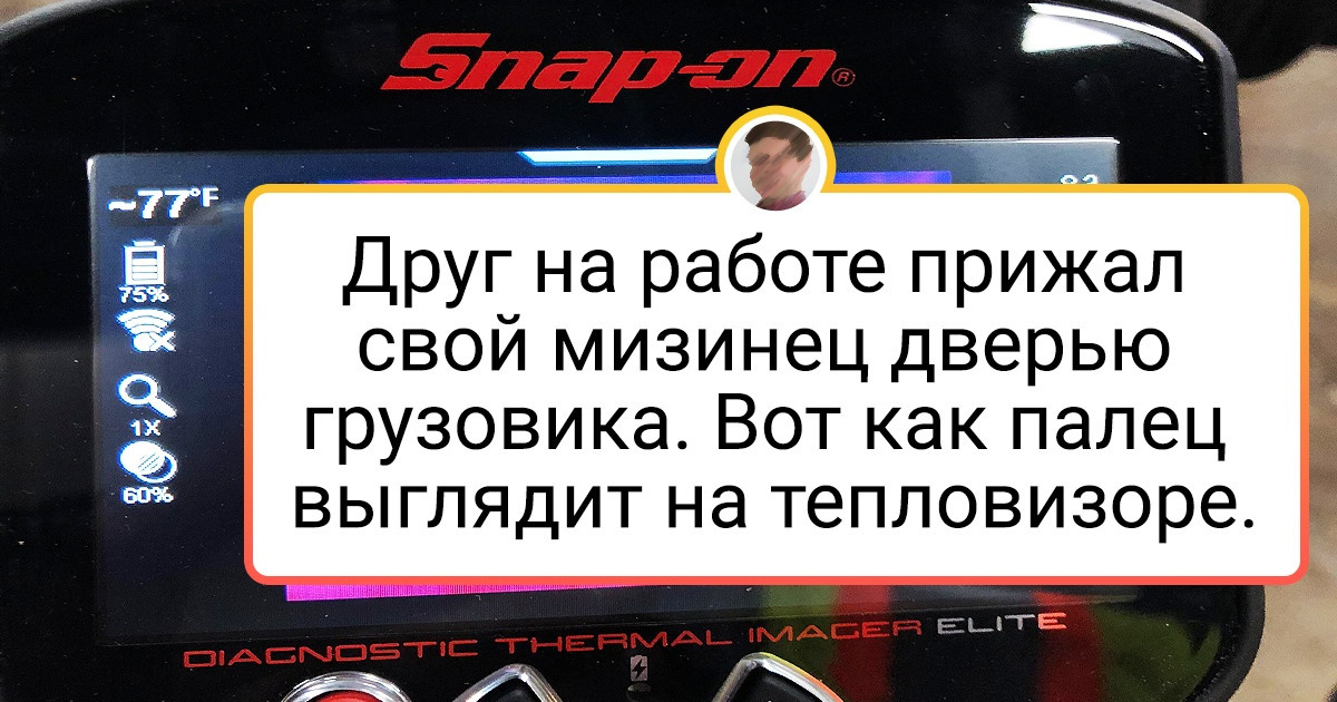 17 снимков, сделанных тепловизором, которые открывают невидимый глазу мир