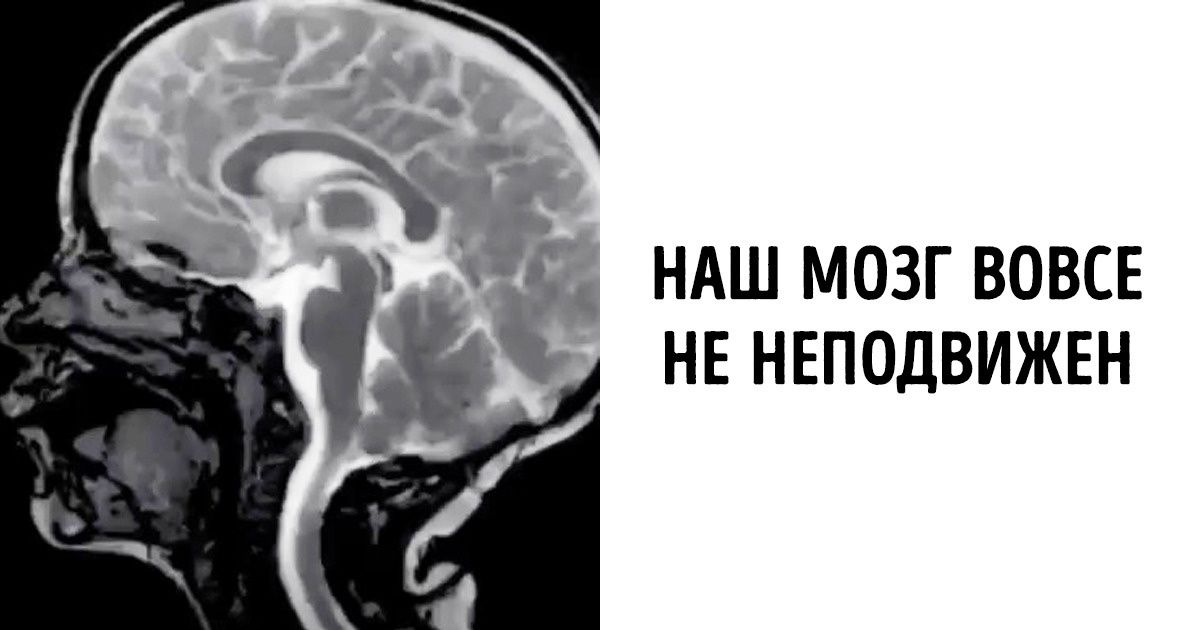7 доказательств того, что наука бывает круче любых сериалов 7 доказательств того, что наука бывает круче любых сериалов