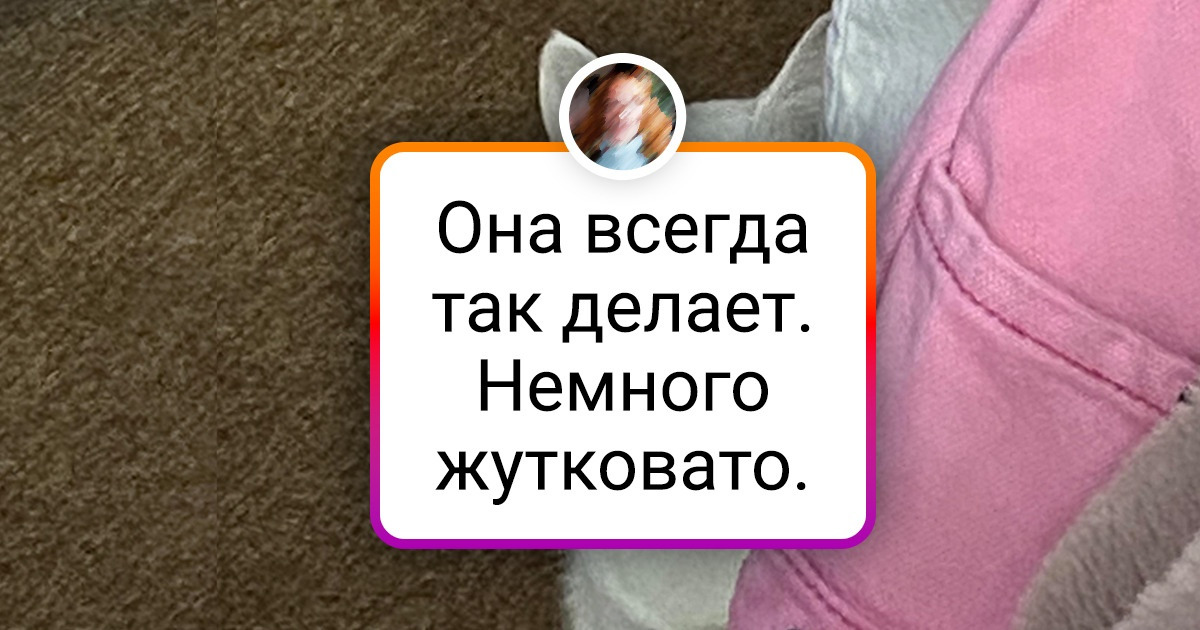 17 наглядных напоминаний о том, что владельцам питомцев навсегда стоит забыть об одиночестве