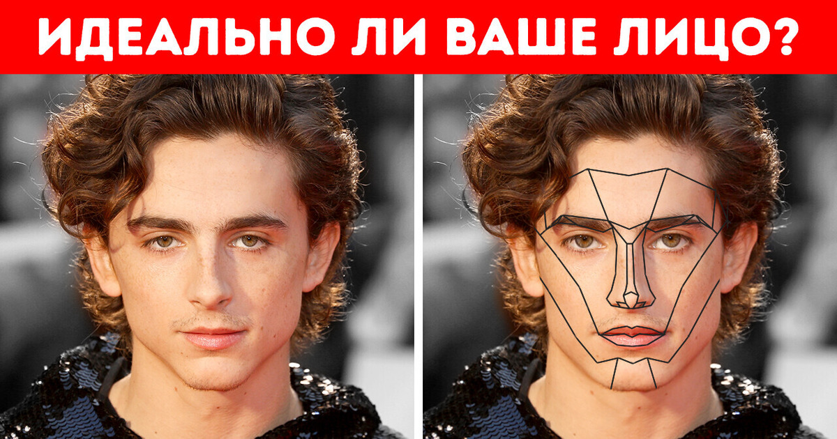 Что, если бы ваше лицо попадало в золотое сечение