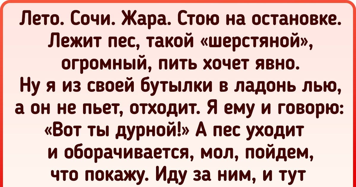 15+ историй о животных, которые внезапно оказались смышленее человека 15+ историй о животных, которые внезапно оказались смышленее человека