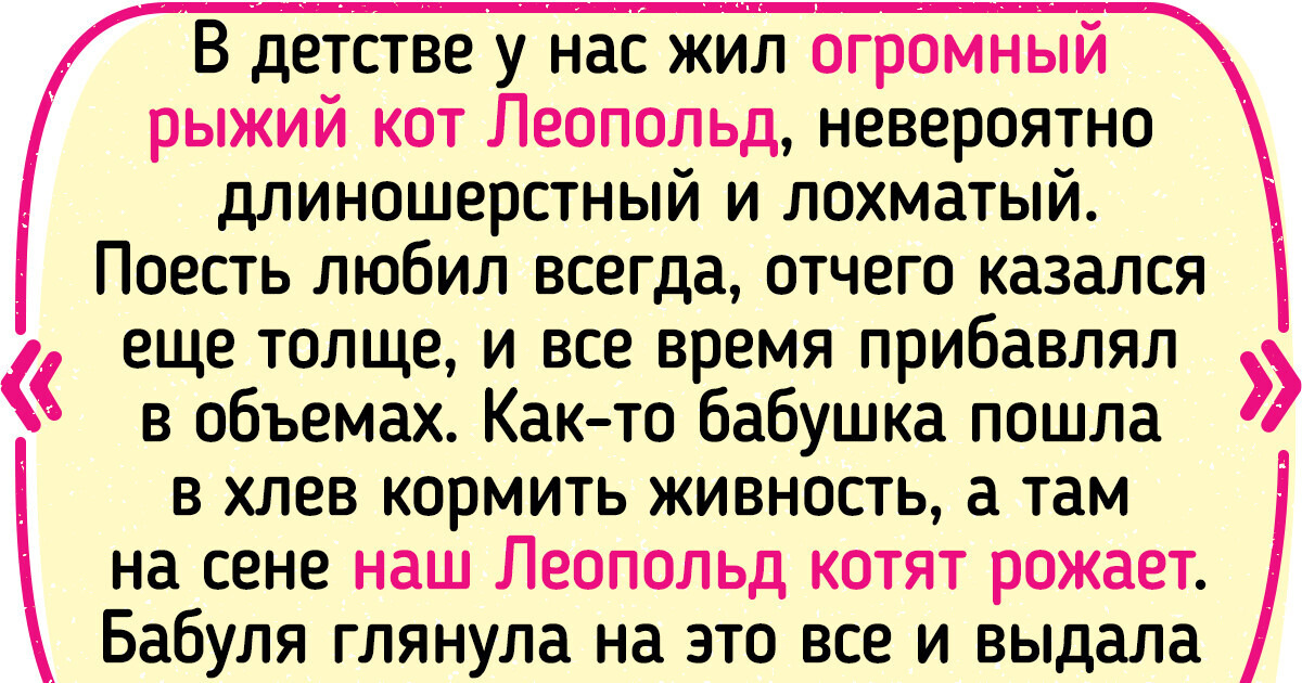 30 пушистых наглецов, которые плевать хотели на ожидания хозяев