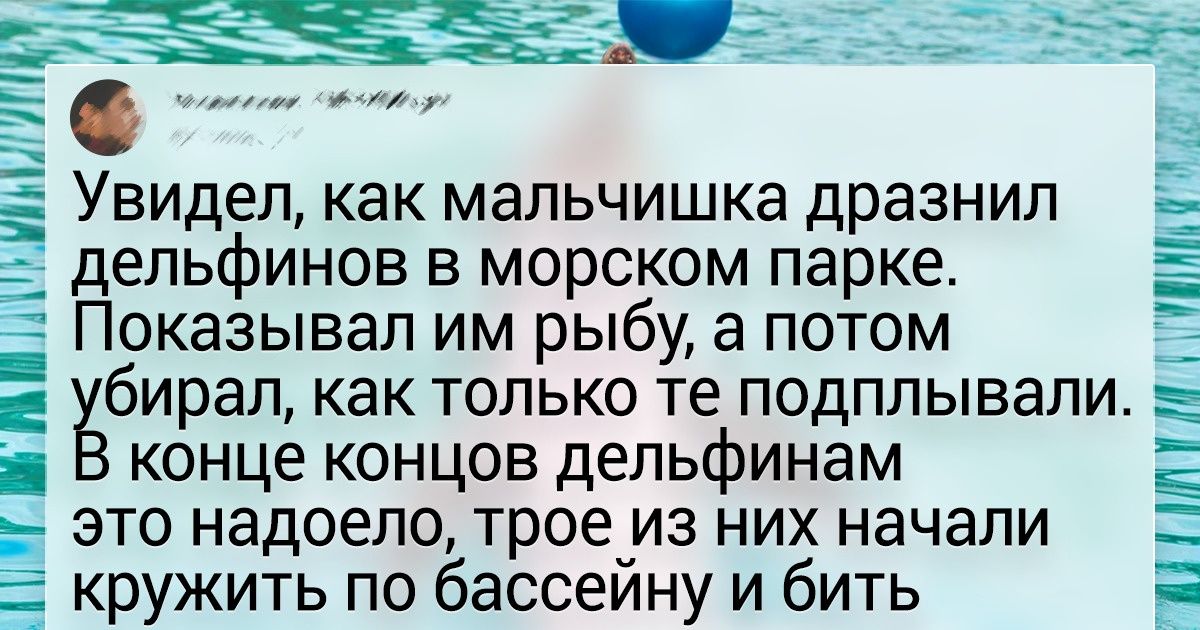 Как на самом деле животные попадают в дельфинарии и почему это сложно назвать спасением Как на самом деле животные попадают в дельфинарии и почему это сложно назвать спасением