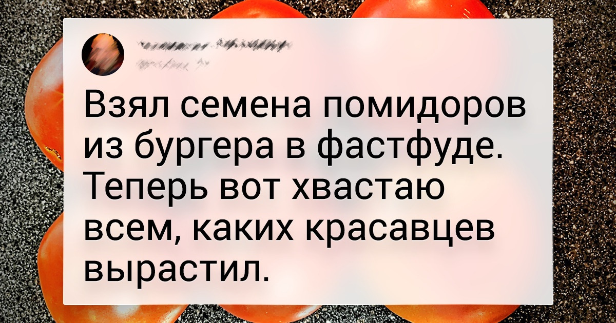 19 королей огорода, глядя на которых хочешь схватить тяпку и завести собственную грядку 19 королей огорода, глядя на которых хочешь схватить тяпку и завести собственную грядку
