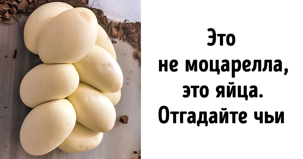 20+ фото, на которых нет еды. И все-таки, глядя на них, вы захотите перекусить 20+ фото, на которых нет еды. И все-таки, глядя на них, вы захотите перекусить