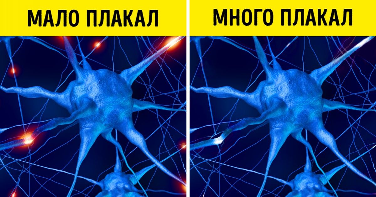Почему ни в коем случае нельзя игнорировать детский плач Почему ни в коем случае нельзя игнорировать детский плач