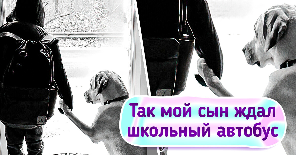 14 фото, от которых нам стало тепло и уютно на душе