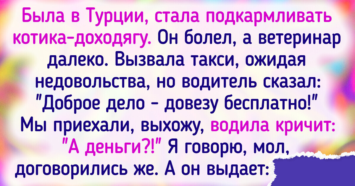 13 историй о том, как любовь и забота изменили жизни бездомных животных 13 историй о том, как любовь и забота изменили жизни бездомных животных