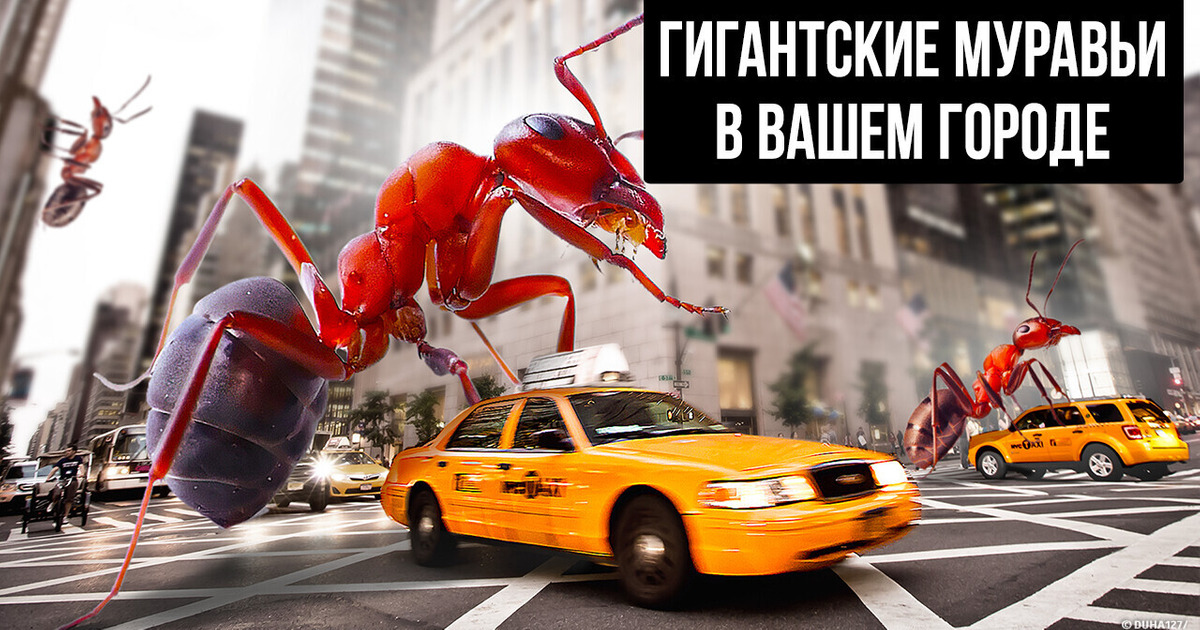 Что, если ваш город захватили бы гигантские муравьи