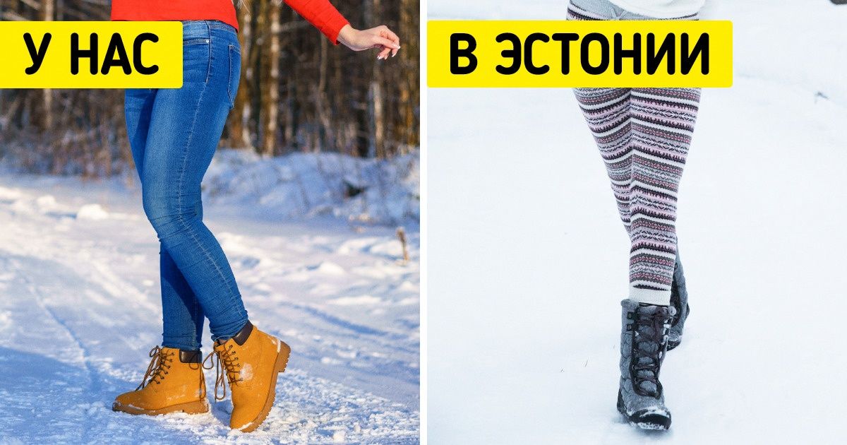 17 фактов об Эстонии — стране, где даже псы и чайки заводят свой инстаграм