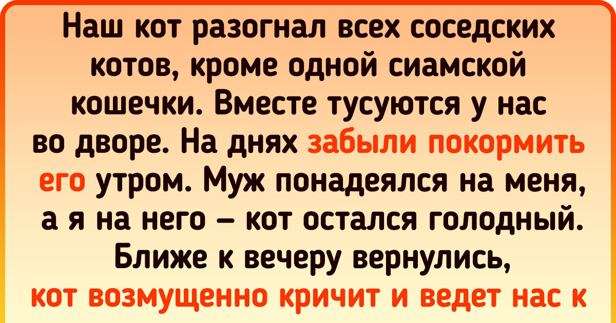17 историй о животных, которые буквально ошарашили людей своей смекалкой 17 историй о животных, которые буквально ошарашили людей своей смекалкой