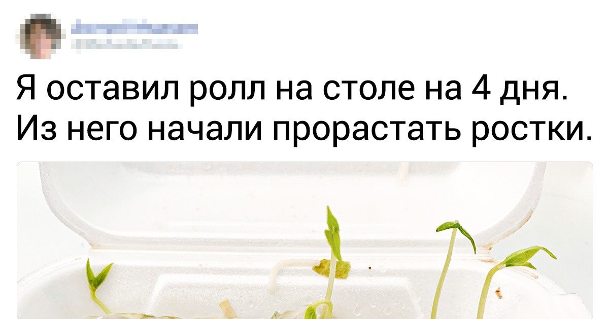 20 фотографий, которые выглядят как качественная подделка, но абсолютно реальны 20 фотографий, которые выглядят как качественная подделка, но абсолютно реальны