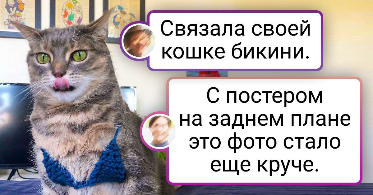 20+ питомцев «на стиле», которым хозяева самостоятельно смастерили наряд 20+ питомцев «на стиле», которым хозяева самостоятельно смастерили наряд