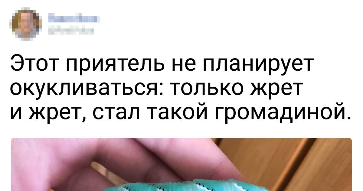 20+ наглядных примеров того, что размер — величина непредсказуемая