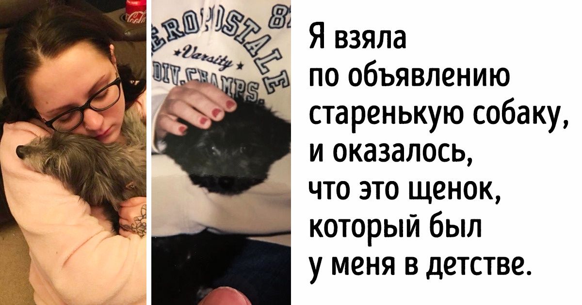 20+ животных, которые приготовили людям сюрприз 20+ животных, которые приготовили людям сюрприз