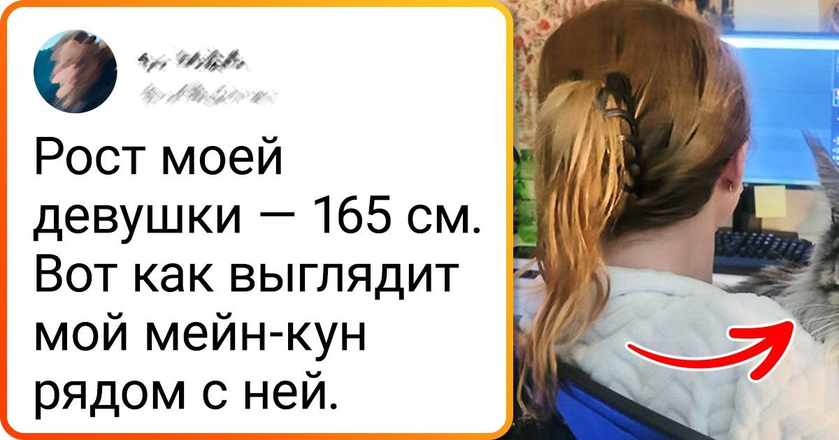 18 доказательств того, что крупные животные обладают просто магнетическим обаянием