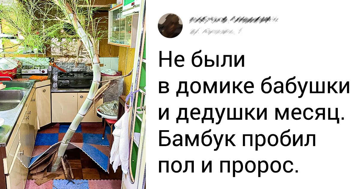 17 доказательств того, что в привычном мире все еще есть место невероятному