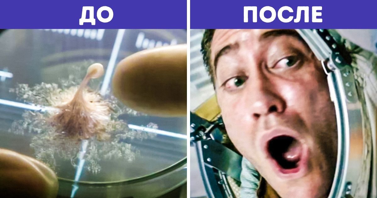 12 фильмов, которые закончились бы раньше, если бы герои лучше соображали