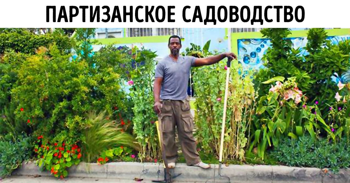 Простые способы изменить мир к лучшему, которые действительно работают