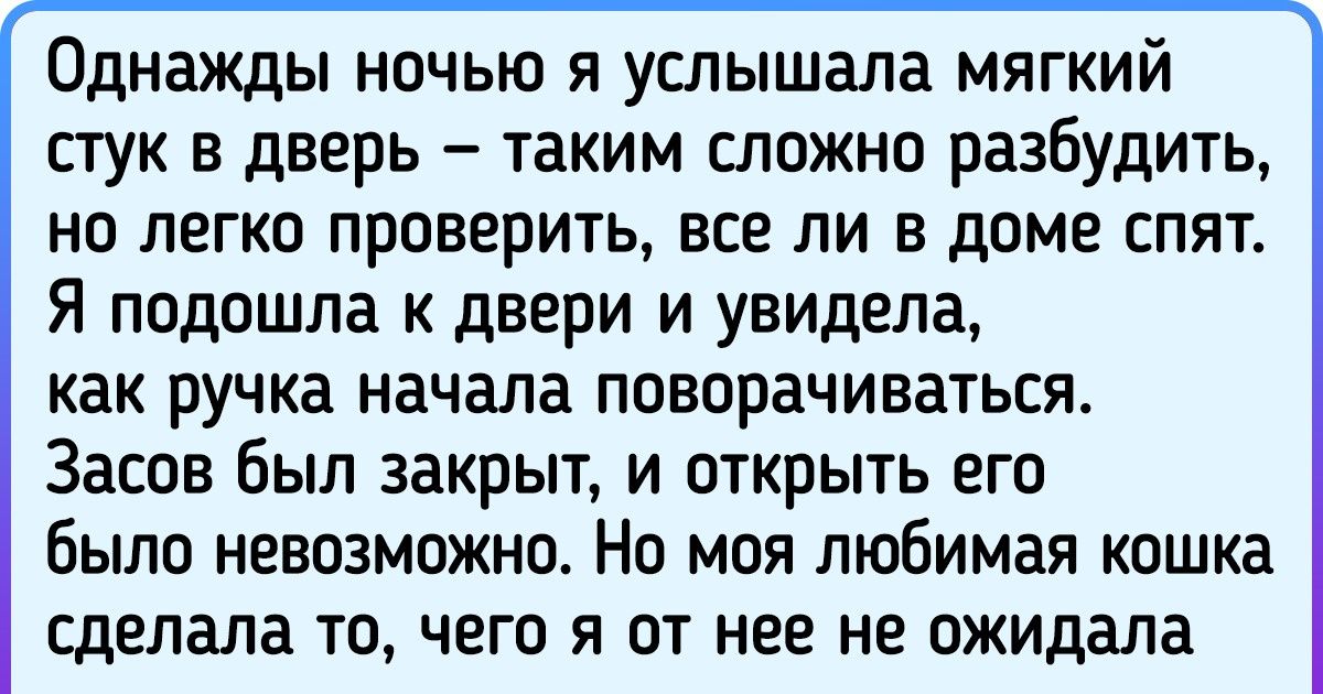 15+ историй о пушистых помощниках, чьей находчивости можно только позавидовать 15+ историй о пушистых помощниках, чьей находчивости можно только позавидовать