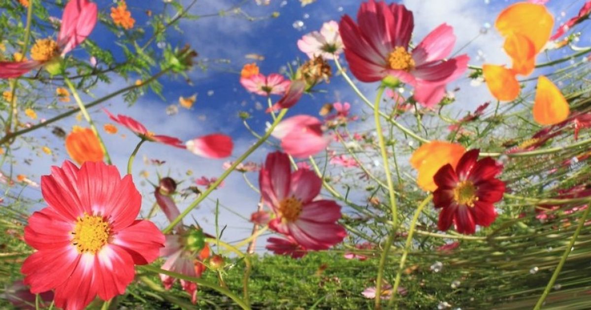 15 лучших кадров марта от National Geographic