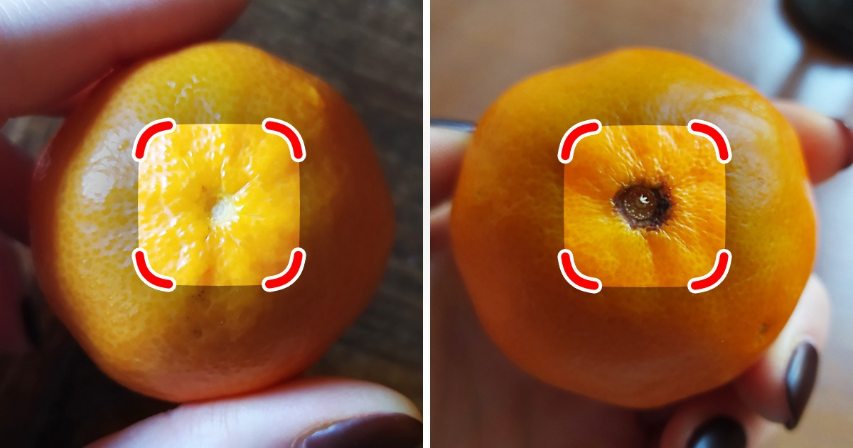 9 советов, благодаря которым вы больше не купите невкусные мандарины и новогоднее настроение не будет испорчено