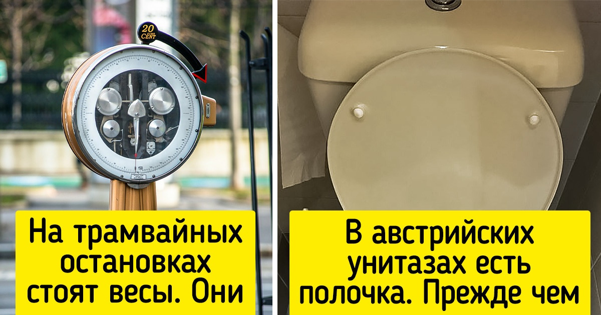 20+ колоритных фото из Австрии, которая может поразить не только Альпами и венскими сосисками 20+ колоритных фото из Австрии, которая может поразить не только Альпами и венскими сосисками