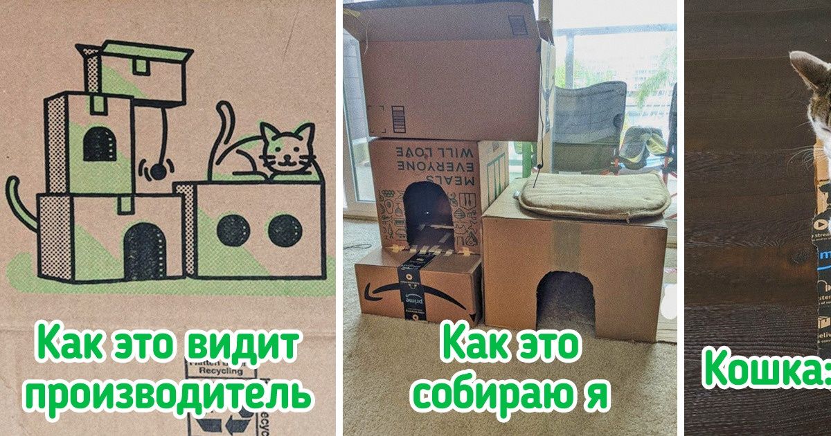 20 питомцев, которые всем видом намекают хозяевам: «Я лучше знаю, что мне надо» 20 питомцев, которые всем видом намекают хозяевам: «Я лучше знаю, что мне надо»