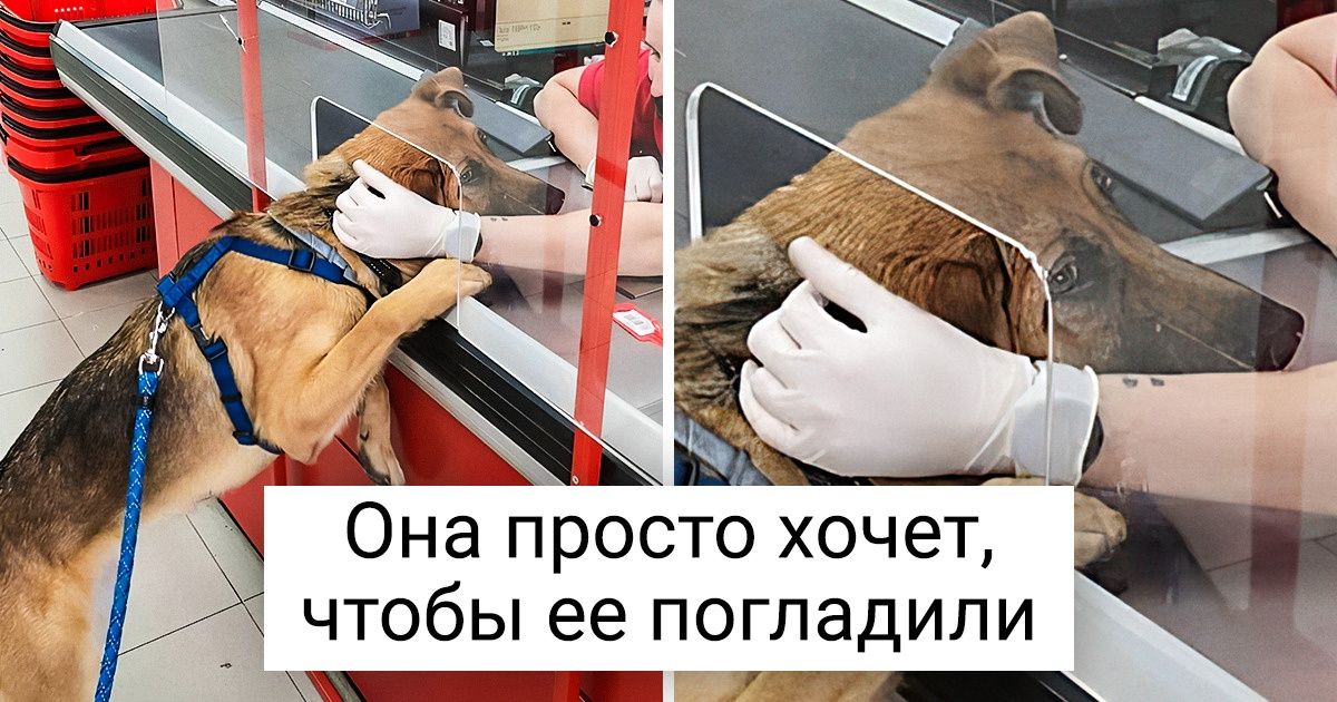 20 случаев, когда пользователям сети посчастливилось почувствовать себя диснеевской принцессой 20 случаев, когда пользователям сети посчастливилось почувствовать себя диснеевской принцессой