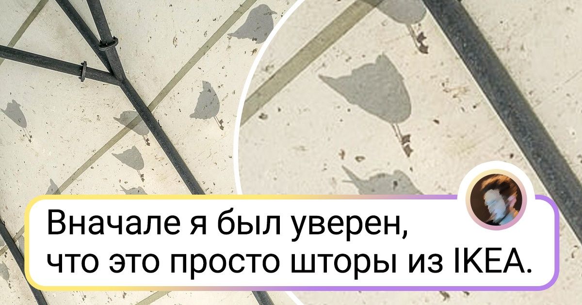 18 фото, глядя на которые так и хочешь спросить: «Да что тут вообще происходит?»