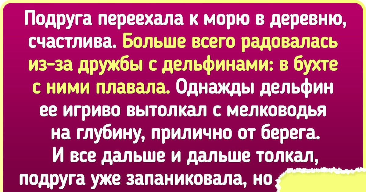 17 деревенских историй, которые горожанам и не снились