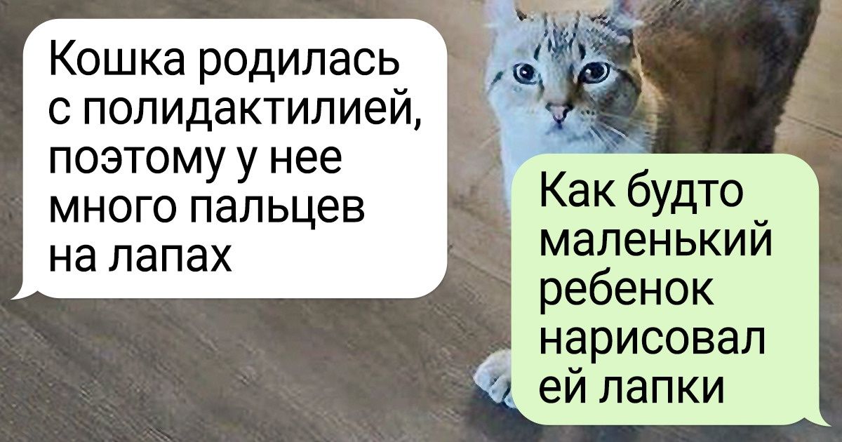 Что значит слишком маленькое изображение