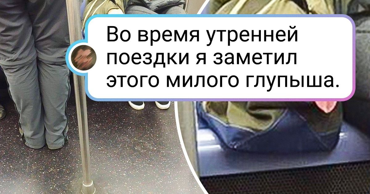 20 человек, которые не оставят своих любимцев ни за какие коврижки 20 человек, которые не оставят своих любимцев ни за какие коврижки