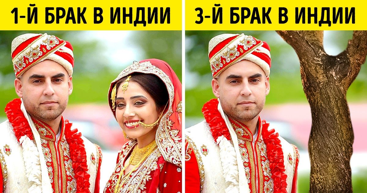 13 неизбитых фактов обо всем на свете, которые удивят даже знатоков «Что? Где? Когда?» 13 неизбитых фактов обо всем на свете, которые удивят даже знатоков «Что? Где? Когда?»