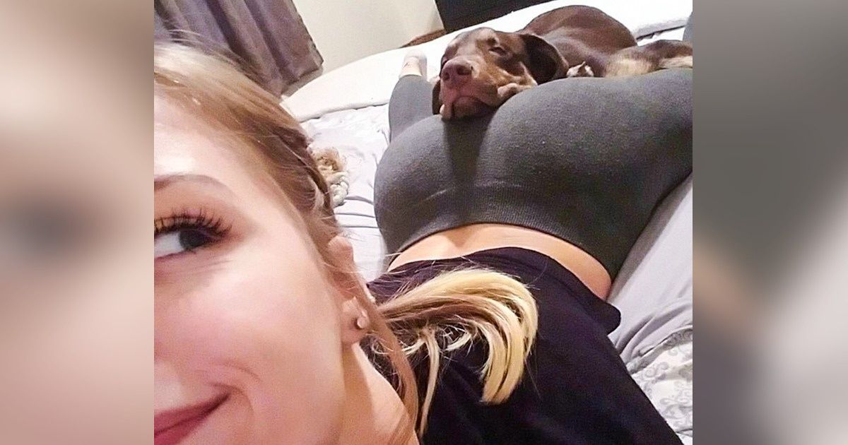 20+ питомцев, которые найдут уютное местечко где угодно 20+ питомцев, которые найдут уютное местечко где угодно