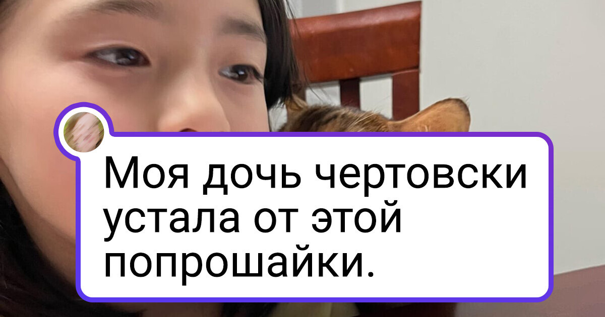 18 фото пушистиков, которые вызывают (только один) вопрос: «Ну и кто в доме хозяин?»