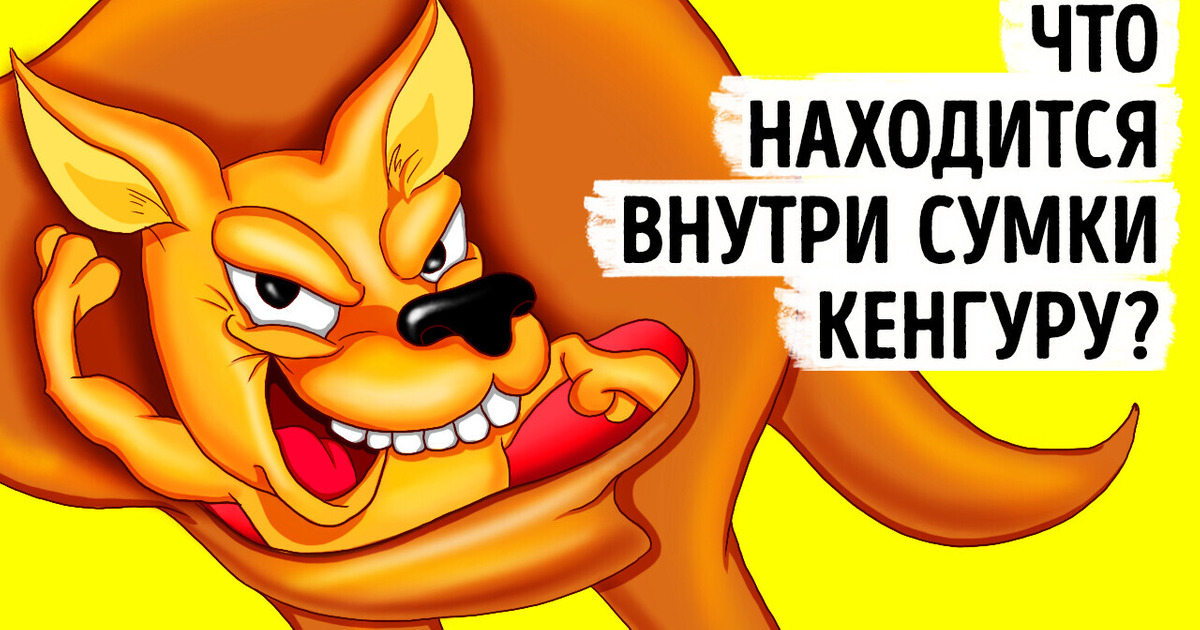 Как кенгуру оказались в Австралии