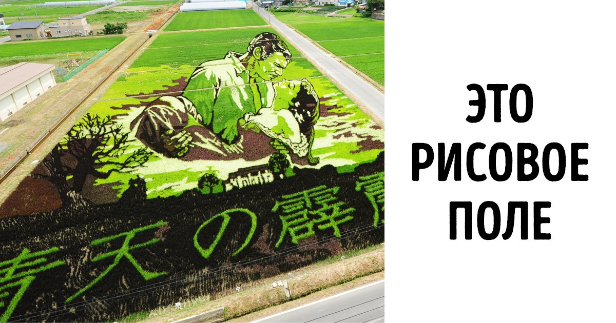 10+ крутых штуковин, которые вызывают стойкий вау-эффект