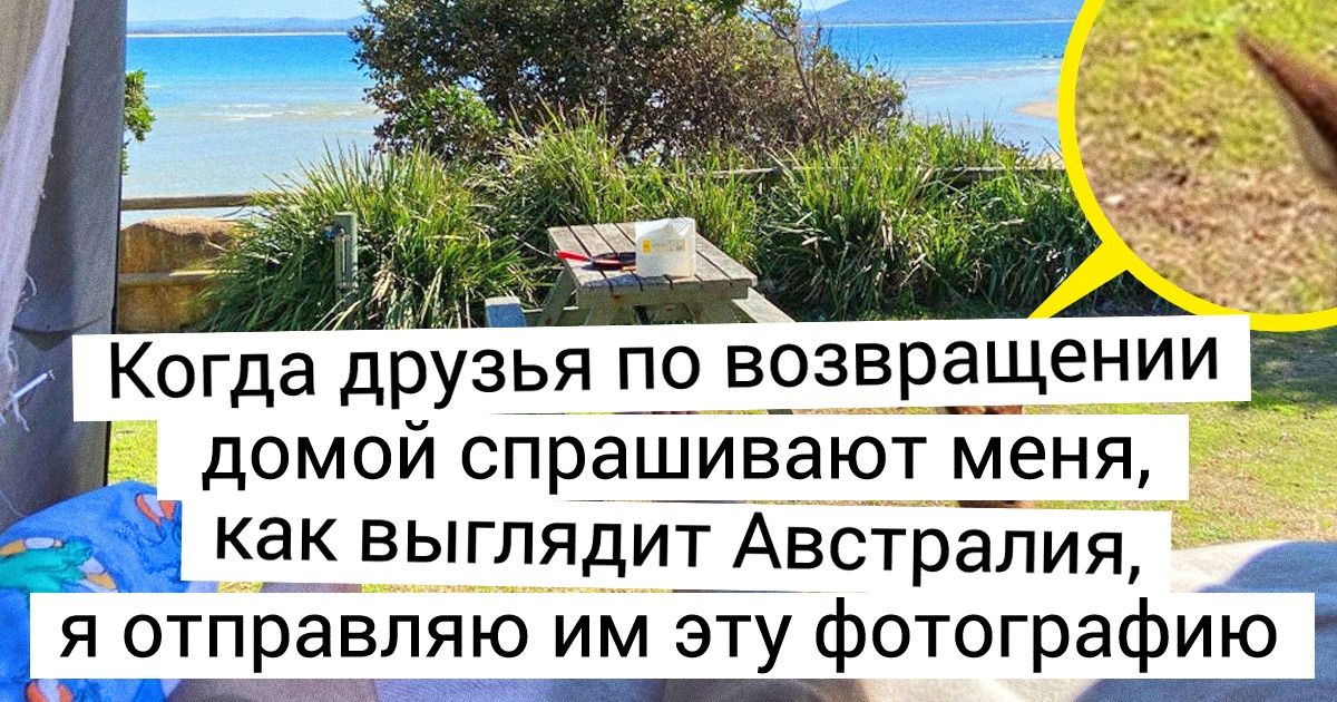 18 фото, которые показывают всю суть жизни в Австралии 18 фото, которые показывают всю суть жизни в Австралии