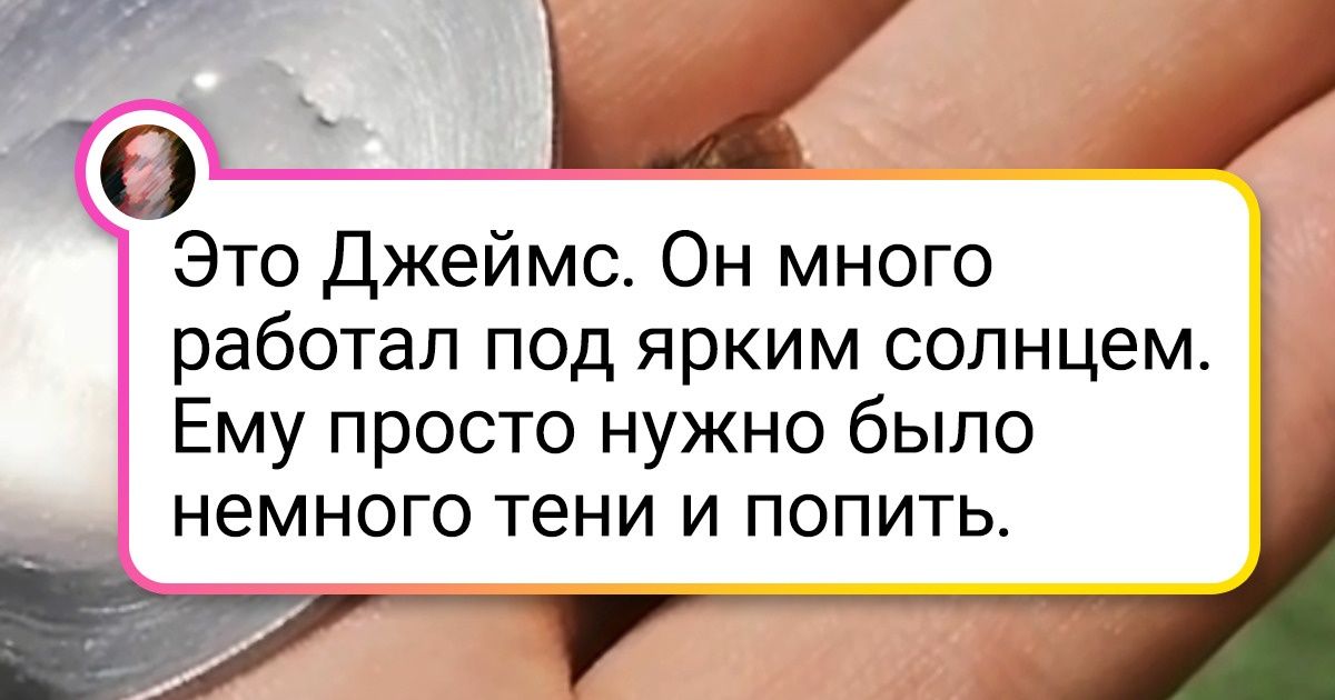 19 человек, которые не потратили много сил на доброе дело, но сделали этот мир чуточку светлее