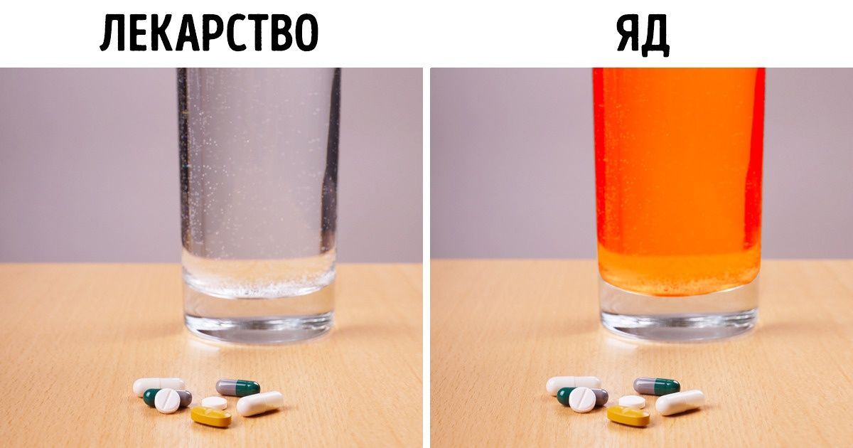 10 привычных пар продуктов, которые вместе могут нанести вред здоровью (Мед с горячим чаем в черном списке) 10 привычных пар продуктов, которые вместе могут нанести вред здоровью (Мед с горячим чаем в черном списке)