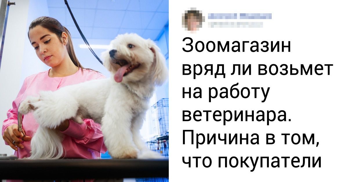 15 секретов зоомагазинов, которые не спешат раскрывать продавцы 15 секретов зоомагазинов, которые не спешат раскрывать продавцы