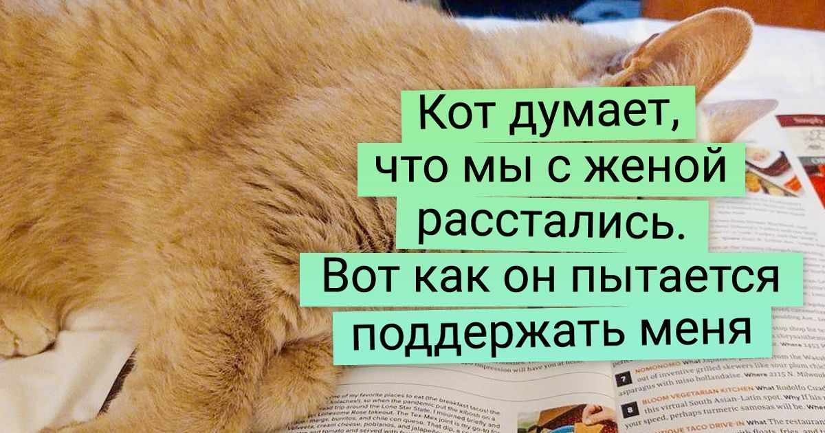 Дело всей жизни отнимет все время а после утопит нас как котят